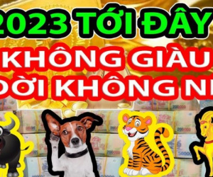Hết tháng 2 dương: 3 tuổi này nhận phúc thần Tài, làm 1 được 10, xòe tay hứng tiền