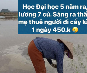 Học Đại học 5 năm ra lương 7 triệu, cô gái buồn rũ rượi khi thấy mẹ mướn người cấy thuê 450 nghìn/ngày