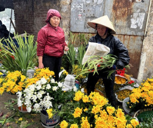 Sau Tết, hoa dơn giá rẻ như rau, chậu ly bằng cốc trà sữa