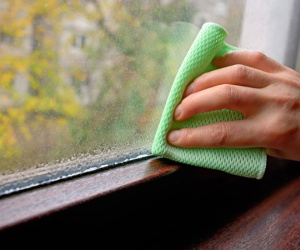 Cảnh giác với chất gây ung thư hàng đầu, độc gấp 68 lần thạch tín có mặt ở khắp nơi trong nhà khi trời nồm ẩm
