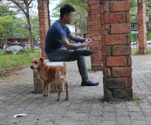 Dậy sóng dư luận vì chó 'thả rông' trong chung cư