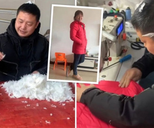 Nuôi cả đàn ngỗng chỉ để tự tay may áo khoác tặng vợ, người đàn ông khiến cánh mày râu khóc thét: 'Đừng để vợ tôi thấy cảnh này!'