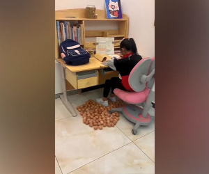 Clip: Mẹ rải trứng gà đầy dưới chân bàn để quản lý con học tập