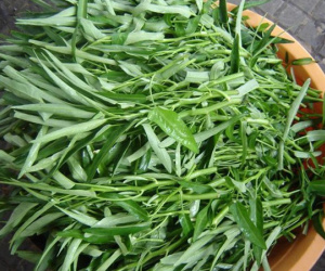 Chì 'kịch độc' cho cơ thể nhưng hiện diện trong hầu hết thực phẩm, món nào nhiều chì nhất và làm sao để biết?