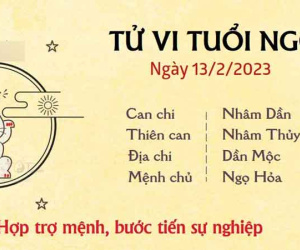 Tử vi thứ 2 ngày 13/02/2023 của 12 con giáp: Ngọ nâng bước sự nghiệp, Tý áp lực nặng nề