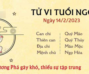 Tử vi thứ 3 ngày 14/02/2023 của 12 con giáp: Tị tài lộc gia tăng, Dậu thận trọng trong tình cảm