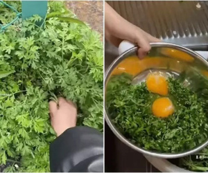 Sinh viên Việt ở Nhật ăn 'cỏ dại', dân bản địa tròn mắt ngạc nhiên
