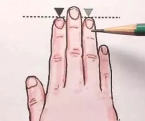 Độ dài ngắn giữa ngón trỏ và ngón đeo nhẫn hé lộ điều gì?