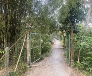 Mâu thuẫn tại vườn sầu riêng, cậu và cháu dùng súng 'thanh toán' nhau khiến 1 người tử vong