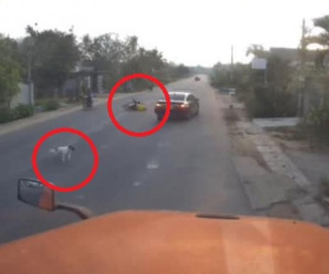Cứu mạng con chó thả rông, tài xế ô tô khiến lái xe máy gặp nạn văng xa chục mét
