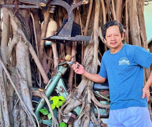 'Báu vật' trong rễ cây si ở Bình Dương, nhiều người sẵn sàng trả tiền tỷ