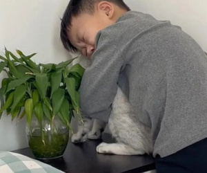 Cậu bé ôm chặt mèo cưng, nức nở: 'đừng rụng lông nữa, anh xin em đấy' và lý do đẫm nước mắt phía sau