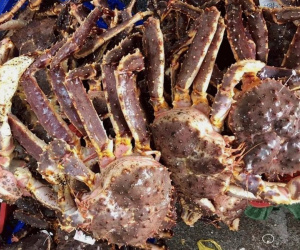 Chủ cửa hàng hải sản tiết lộ sự thật ít người biết về cua hoàng đế