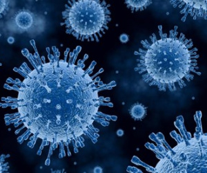 TP HCM giám sát chặt người nhập cảnh từ vùng có dịch cúm A/H5N1