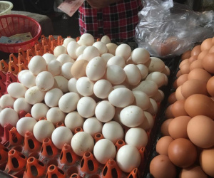 Ăn trứng gia cầm có nguy cơ lây nhiễm H5N1 không?
