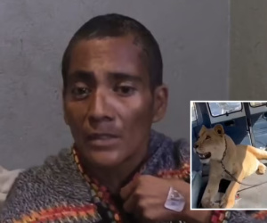 Bị sư tử tấn công, người phụ nữ đã có hành động bất ngờ khiến con vật cúp đuôi bỏ chạy