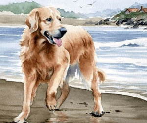 Giờ vàng đã điểm: 3 con giáp thoát kiếp nghèo, hốt vàng hốt bạc trong 2 tháng tới