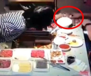 Muốn kiểm tra điện thoại bạn trai nhưng không được, cô gái hất cả nồi lẩu cay đang sôi vào người