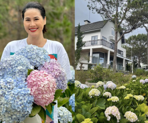 Vướng nghi vấn tậu biệt thự tiền tỷ ở Đà Lạt, Thân Thúy Hà vội vàng lên tiếng đính chính