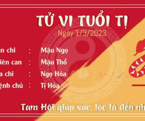 Tử vi thứ 4 ngày 01/03/2023 của 12 con giáp: Tị lộc lá đến nhà, Sửu cẩn thận rơi tiền