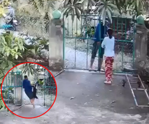 Clip: Dân mạng tranh cãi việc người phụ nữ tự mở cửa cho trộm chó ngang nhiên xông vào nhà