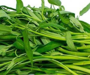 Loại rau vài nghìn/mớ ở Việt Nam sang nước ngoài giá siêu đắt, đếm từng cọng