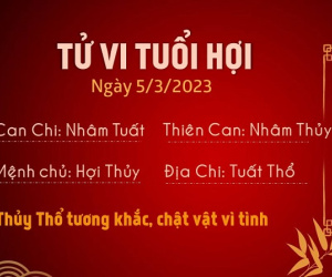 Tử vi Chủ Nhật ngày 05/03/2023 của 12 con giáp: Ngọ đón tài lộc, Hợi không nên làm ăn lớn