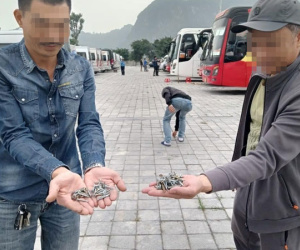 Nhan nhản đinh nhọn xuất hiện tại chùa Tam Chúc, Công an tiết lộ nguyên nhân