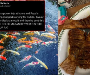 Cá koi yêu quý bị bố mẹ đem ra chiên giòn, nghe lý do con gái chỉ biết 'câm nín'
