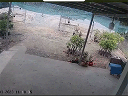 Clip: Vào nhà trộm đồ giữa ban ngày, kẻ gian còn định hành hung luôn cả gia chủ