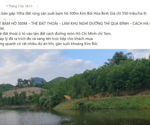 Rầm rộ rao bán đất rừng sản xuất, mỗi m2 giá bằng gói bim bim