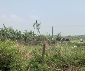 2 thanh niên tử vong nghi do bị điện giật