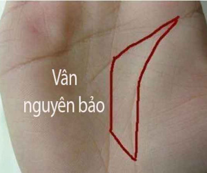 Tướng lòng bàn tay có hình thỏi vàng, vừa sinh ra đã có số hưởng cả đời