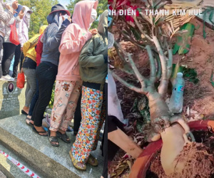 Xót xa hình ảnh mộ của NSƯT Thanh Kim Huệ bị giẫm đạp, hư hại sau lễ tang NSƯT Vũ Linh