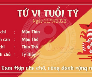Tử vi Thứ 7 ngày 11/03/2023 của 12 con giáp: Tý gặp may mắn, Sửu đề phòng tiểu nhân