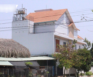 Bình Phước 'nở rộ' phong trào nuôi chim yến