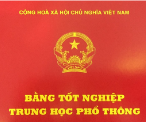 Hiệu trưởng ở Hà Nội bị thu bằng THPT vì gian lận