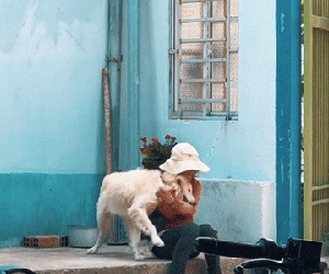 Bé gái bán vé số xoắn xuýt với chú chó xa lạ khiến CĐM rưng rưng: Sự ấm áp hiếm hoi trong ngày của em!
