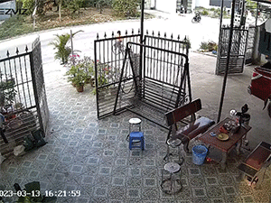 Clip: Mải đối phó với chú chó khi sang đường, bé trai gặp tai nạn kinh hoàng