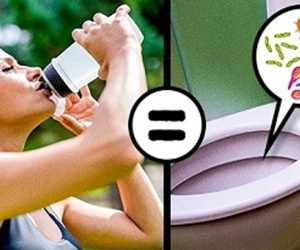 Giật mình, chai nước dùng nhiều lần có chứa vi khuẩn nhiều gấp 40.000 lần nắp bồn cầu