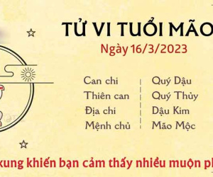 Tử vi thứ 5 ngày 16/03/2023 của 12 con giáp: Mão buồn phiền, Thìn thuận lợi