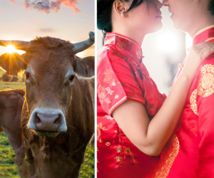 Cưới xong bạn gái quen qua mạng, thanh niên 'mất hút' sau khi tiêu hết tiền của người yêu