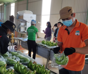 Em trai bầu Đức đăng ký bán sạch cổ phiếu HAGL