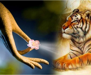 Hiền lương sinh phú quý: 3 tuổi 10 ngày cuối tháng 3 Âm lịch