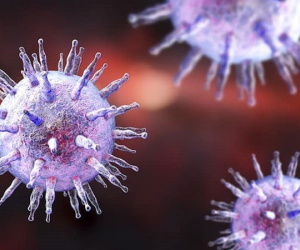 Loại virus truyền bệnh nguy hiểm có thể sống 6 giờ trên quần áo