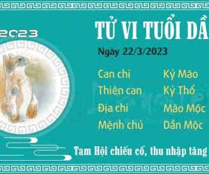 Tử vi thứ 4 ngày 22/03/2023 của 12 con giáp: Dần thu nhập tăng tiến, Mão dễ lừa gạt
