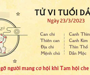 Tử vi thứ 5 ngày 23/03/2023 của 12 con giáp: Dần được che chở, Tị đừng trông cậy vào người khác