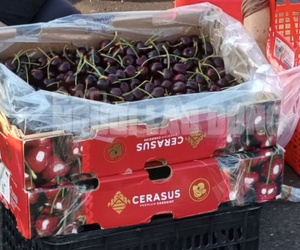 Sự thật về cherry siêu rẻ 'bao ngon', dâu tây Trung Quốc thành hàng Đà Lạt
