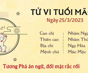 Tử vi thứ 7 ngày 25/03/2023 của 12 con giáp: Dần hăng hái, Mão đối mặt rắc rối