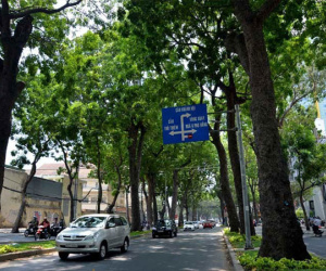 TP.HCM cần trồng cây xanh thay vì làm mái che vỉa hè